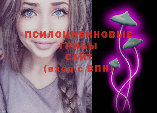 ECSTASY Вяземский